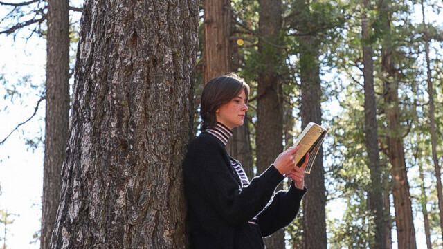 A humanities student reading outside.