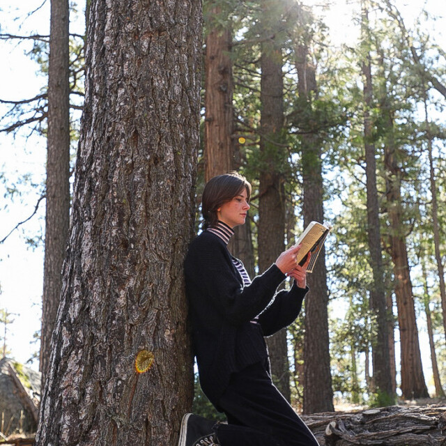 A humanities student reading outside.