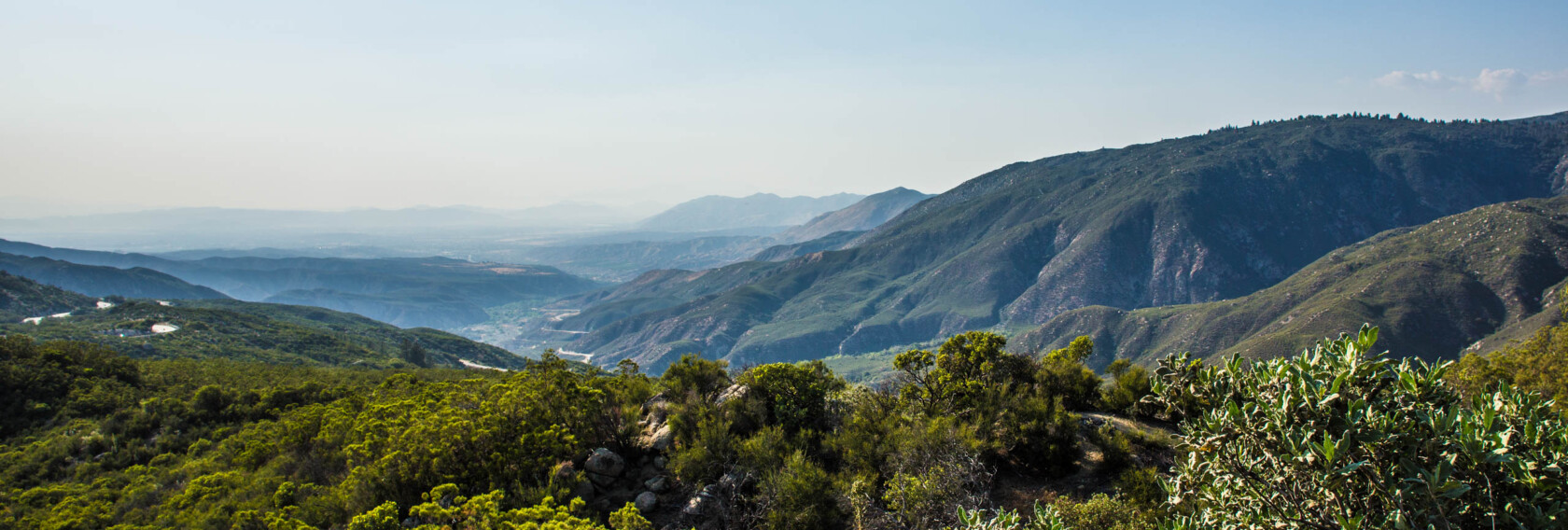 Idyllwild landscape.