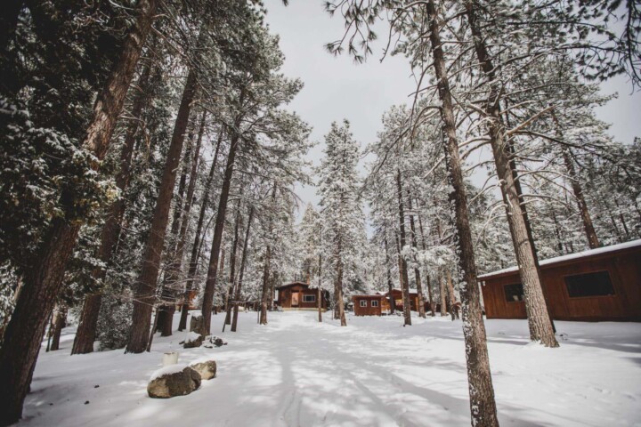 Campus during winter.